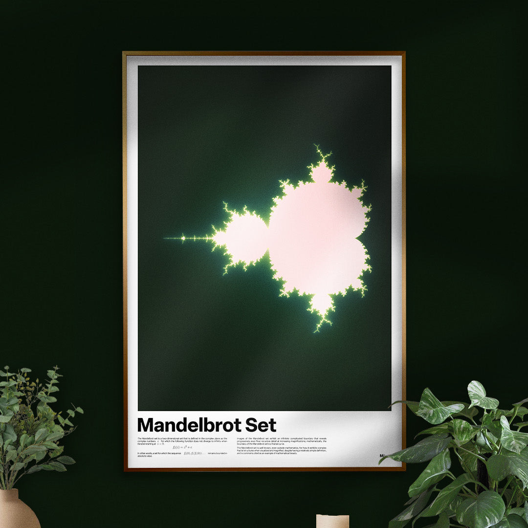 Framed Mandelbrot Set poster on a dark wall with plants and books below.